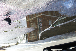Illustration for article titled San Francisco's Sights Reflected Upside-Down In Perfectly Clear Puddles
